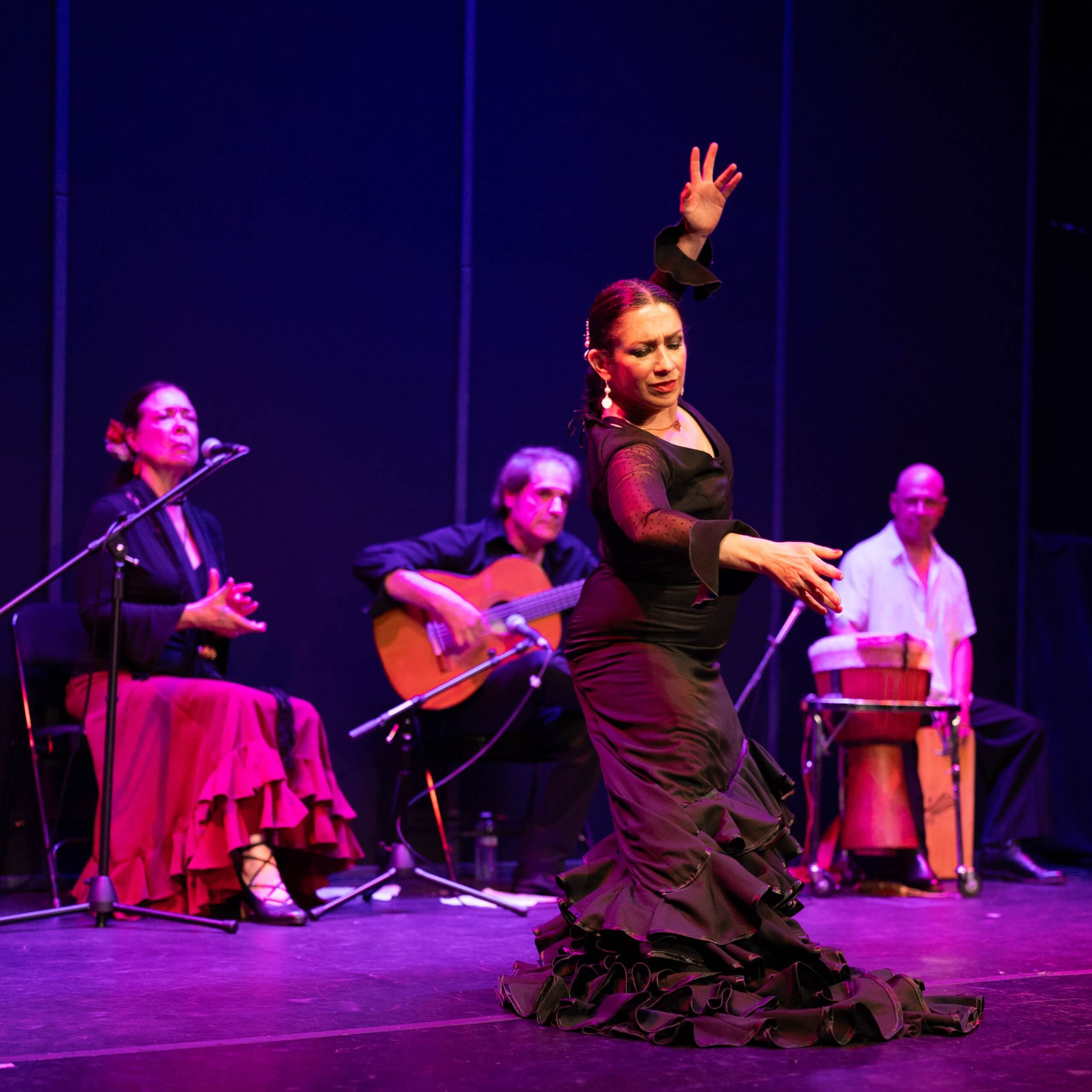 **Seguirillas Rina MO 6